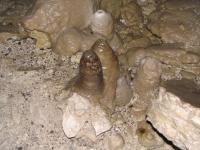 Albums/20060200-New Zealand 2006/20060318-Kaikiura/75